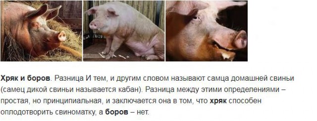 Харьковчанку, назвавшую марш вышиванок «парадом быдла», уволили с работы