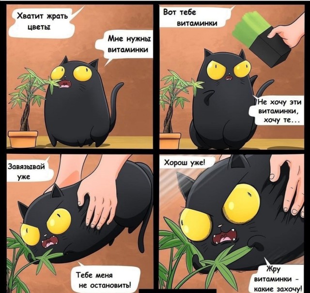 Всяческие картинки