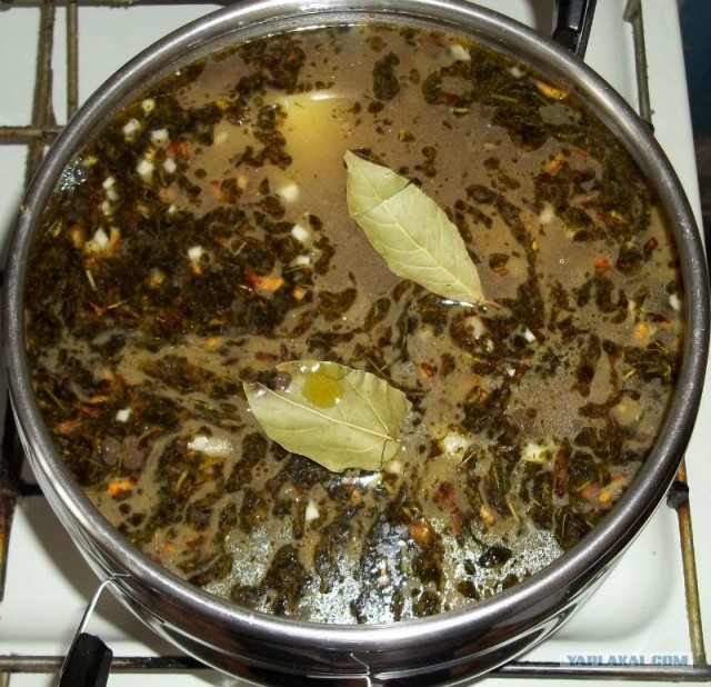 Серые щи