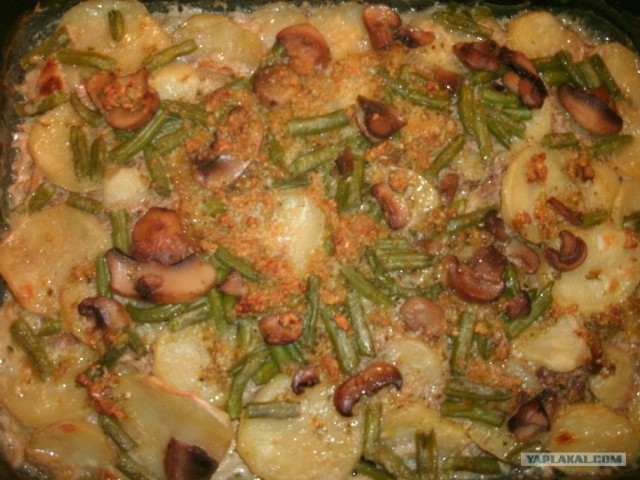 Пятничные посиделки на теплотрассе ©