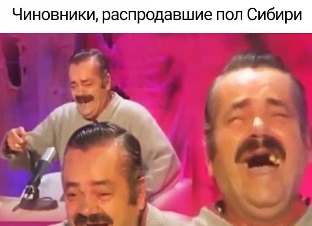 Жителю Гагино, который собрал не тот валежник в лесу, грозит 7 лет лишения свободы