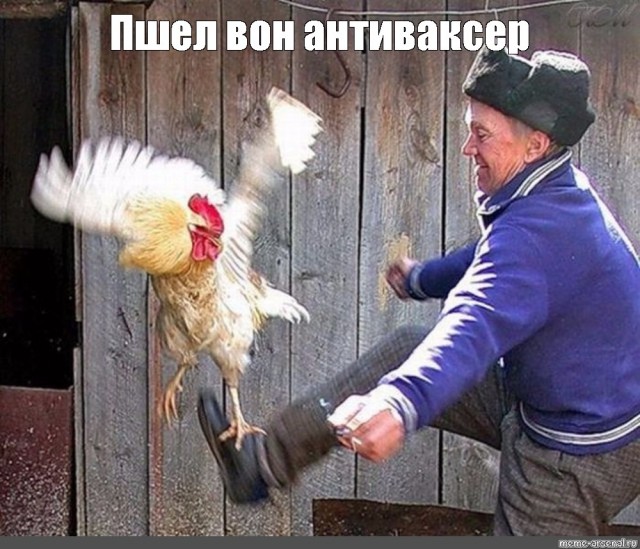 Про вакцинацию, будь она проклята!