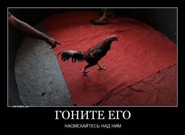 Николай Бондаренко жестко пресёк провокацию властей!