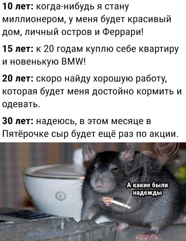 Так себе картинки 26.12.21