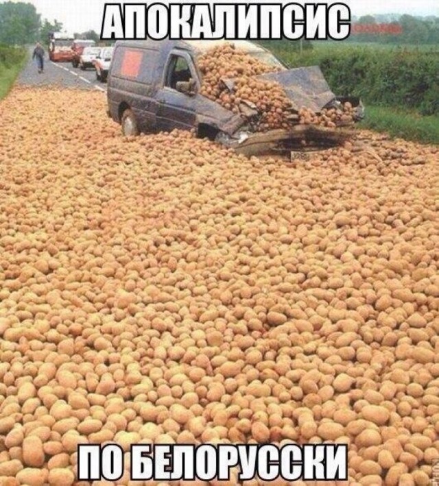 Разные картинки для настроения на любой вкус -12