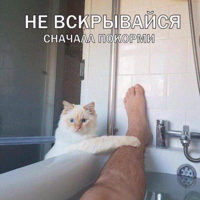Четверг, а значит пора начинать деградировать...