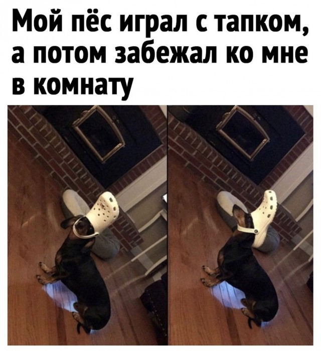 Так себе картинки 06.04.22