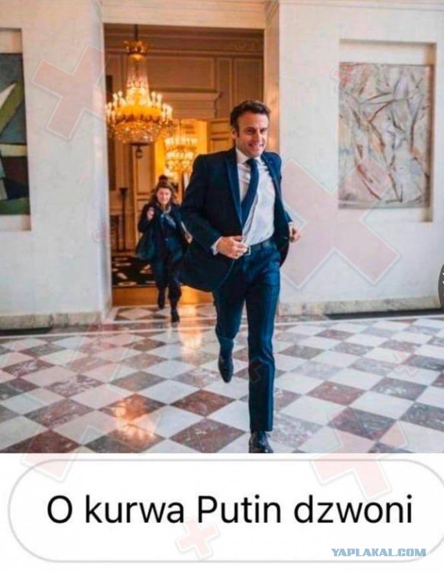 Ле Пен лидирует в первом туре выборов с 28,2% голосов