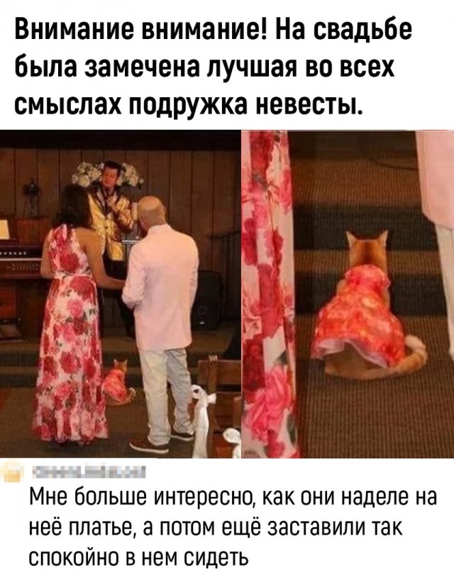 Так себе картинки 26.05.22