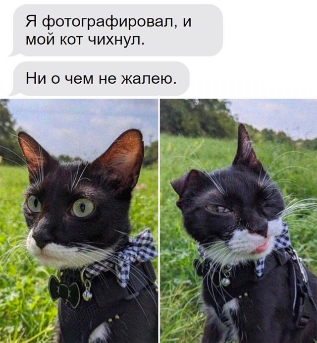 Так себе картинки 09.06.22