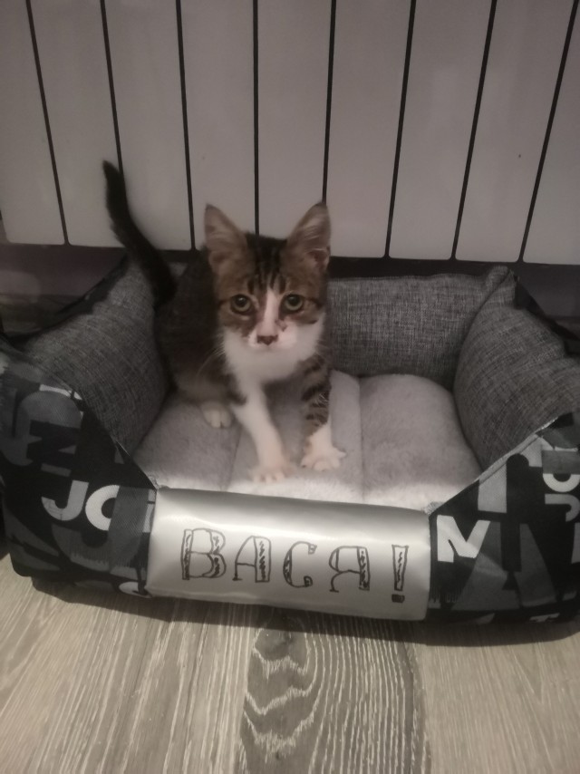 У нас появился Персик