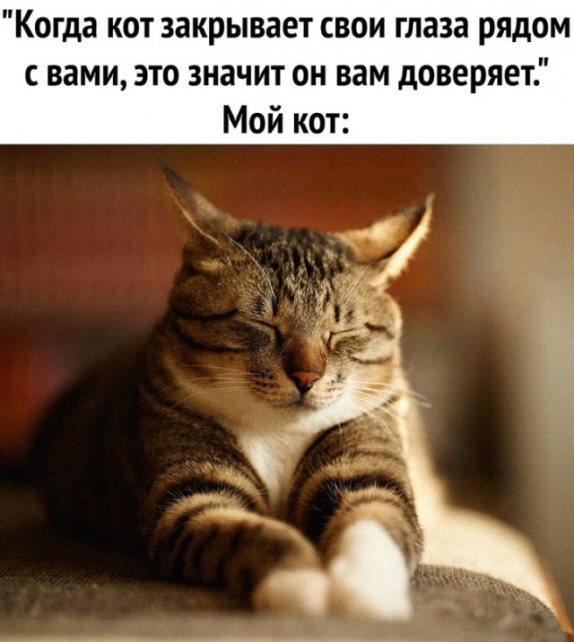 Картинки и мемы для настроения - 111