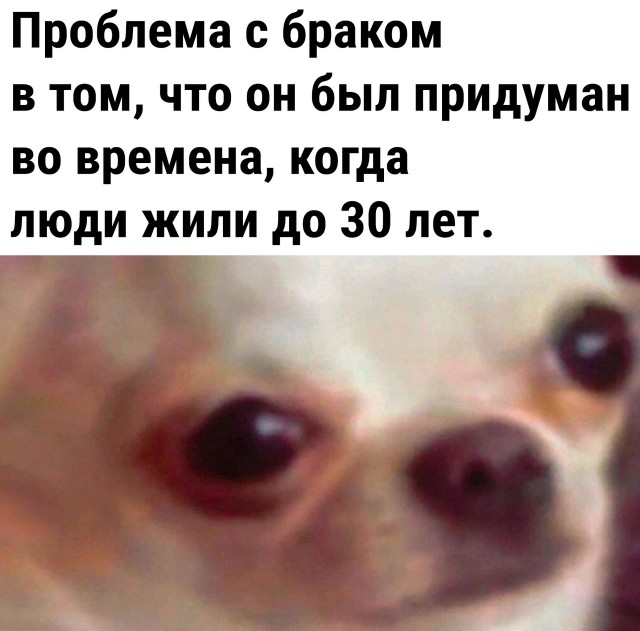 Так себе картинки 30.10.22