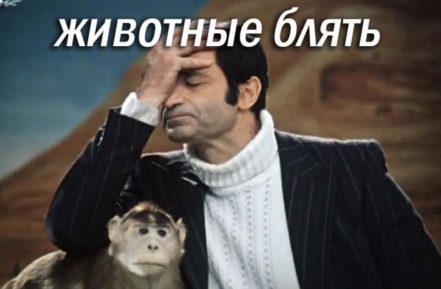 Мужик решил разнять баб