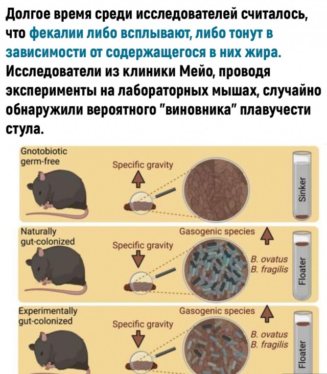 Вот это новость. Вот это я понимаю, Наука!