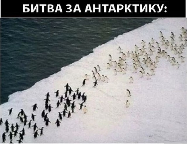 Картинки со смыслом