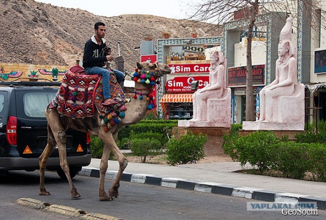 Синайские приключения. Шарм-эш-Шейх и окресности