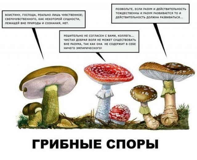 Прикольные и просто красивые картинки 27.12.2022