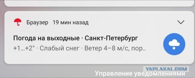 Меркантильные женщины