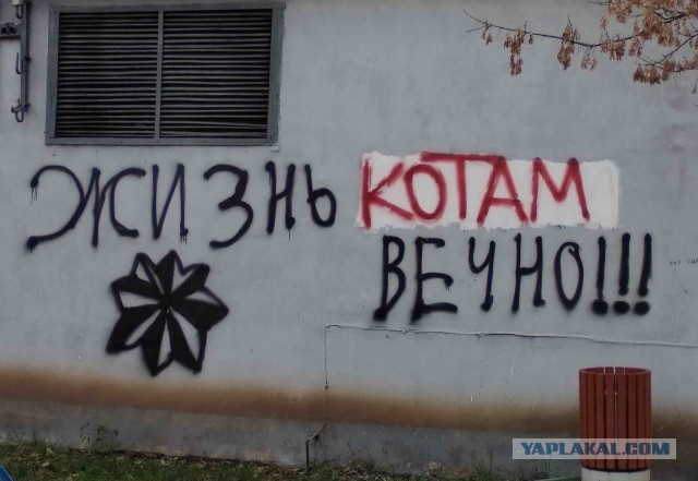 От чего пошло уважение и почёт воров, объясните люди добрые!