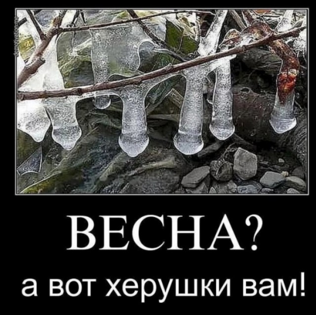 Это правда?!