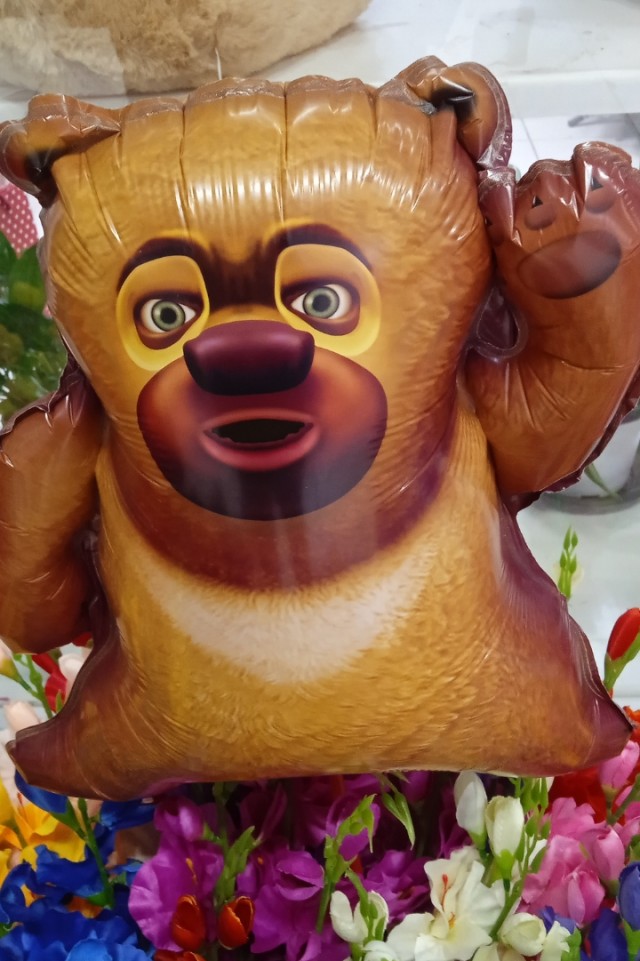 Дочь связала, говорит это мопс