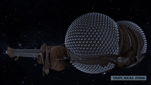 У каждого имперского штурмовика есть бабушка