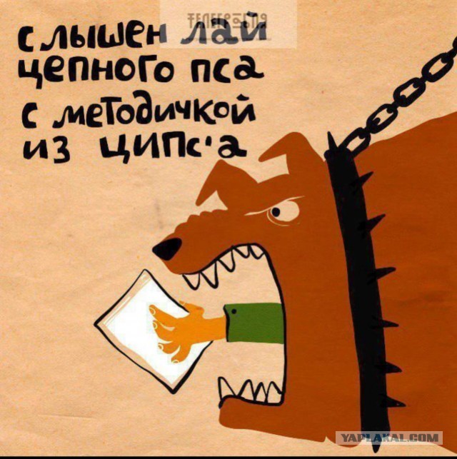 В Ленинградской области подорвали опору ЛЭП