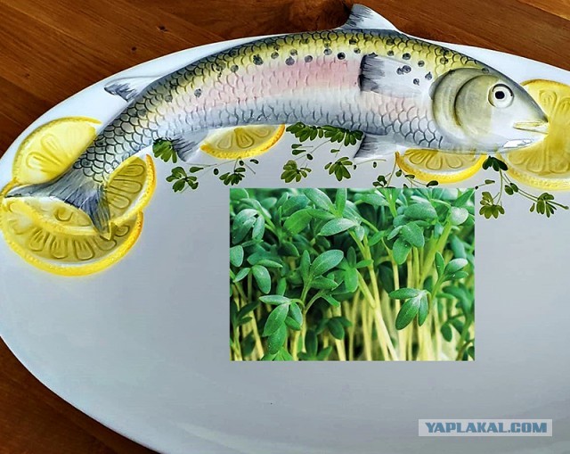 Кулинарная общалка