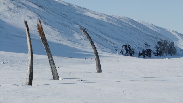 Обратная сторона Земли