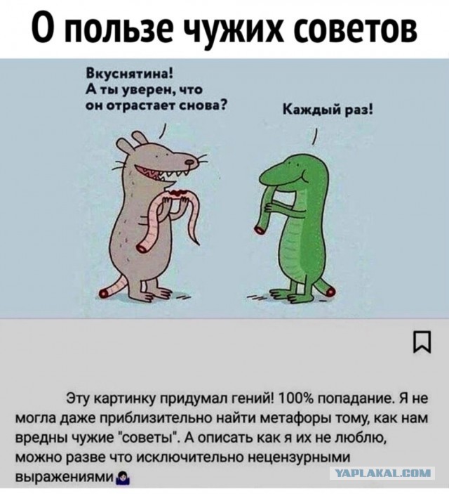 Так себе картинки 04.11.23