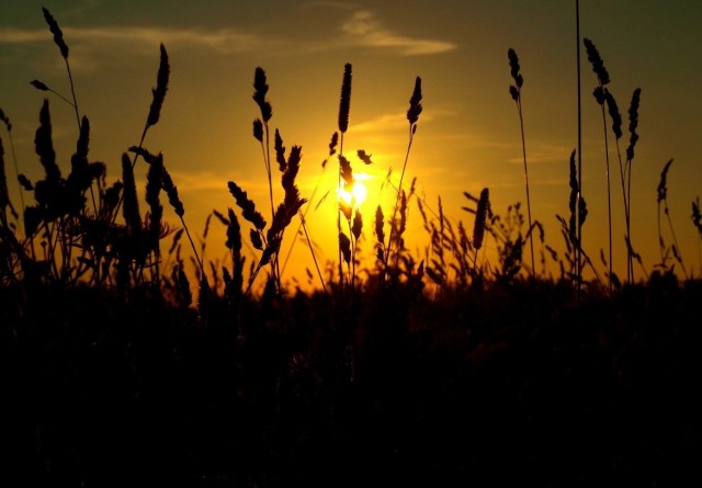 Мои фото без обработки