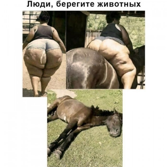 Баяны со старого телефона. Часть вторая