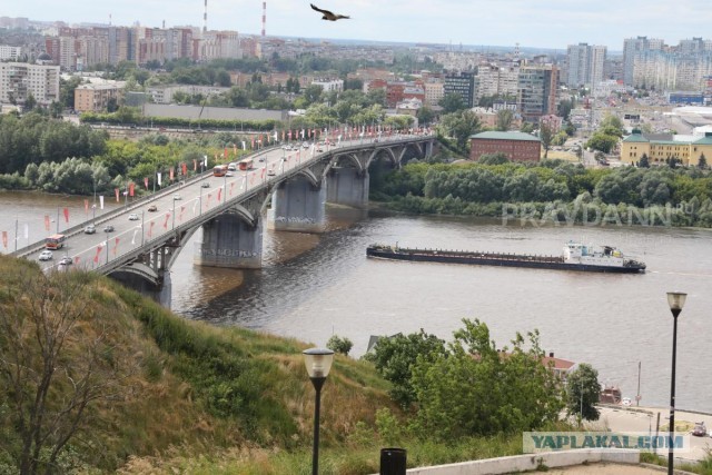 Слабоумие и отвага в одном видео
