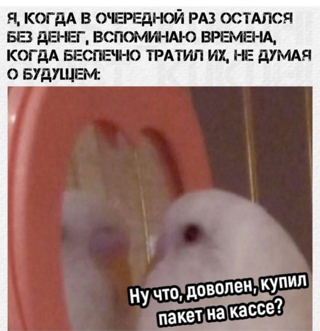 Завалялось тут случайно немного забавных картинок