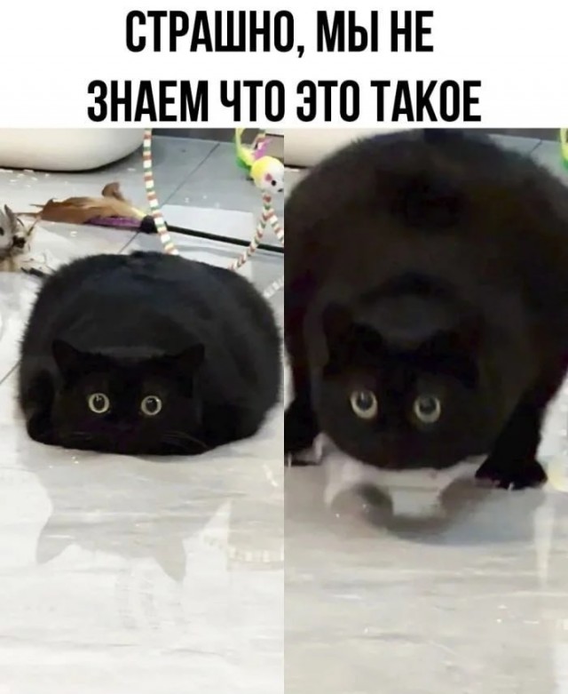 Всего понемногу. От 23.08