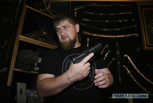 История одной овцы