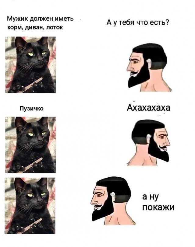 Ох уж эти мисочницы