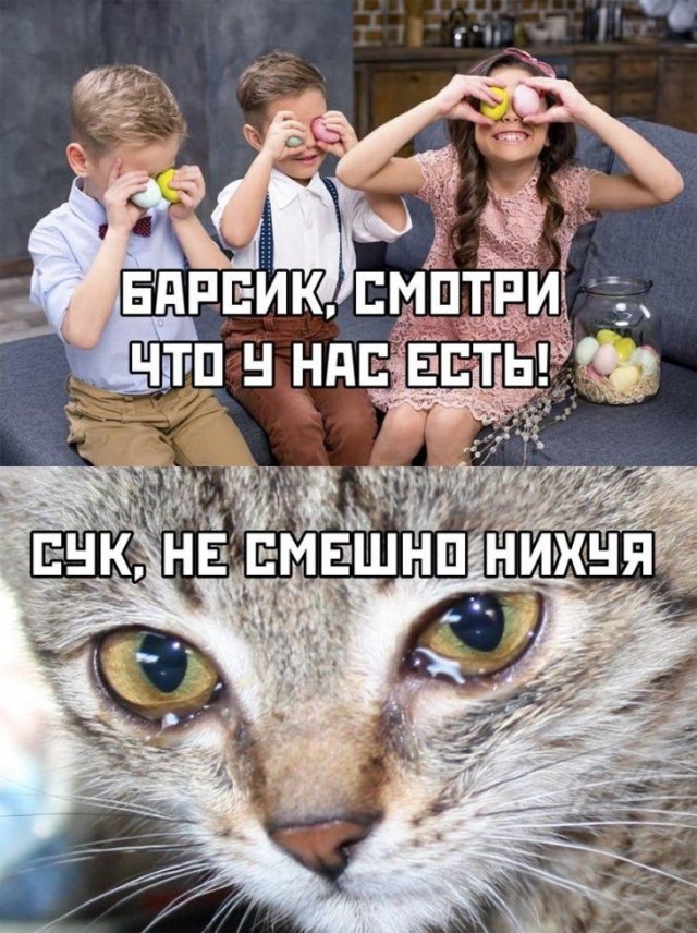 Весёлый полтишок 22.11.24