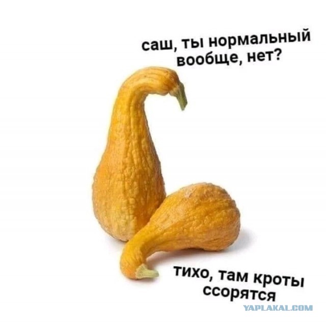 Так себе картинки 28.01.25