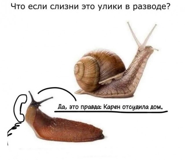 Так себе картинки 24.02.25