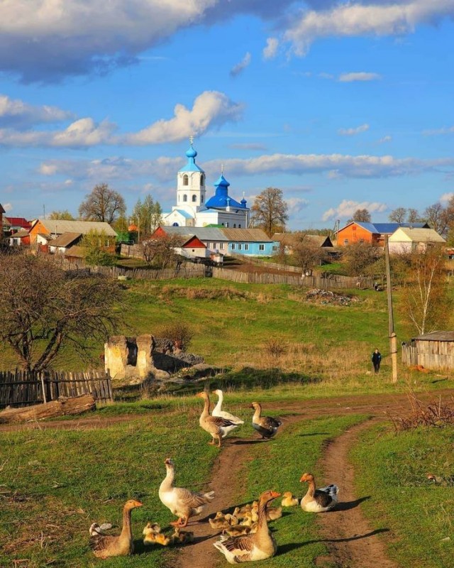 Прикольные и просто красивые картинки 14.03.2025