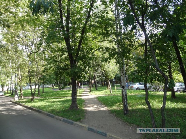 «Во что превращается Москва?»