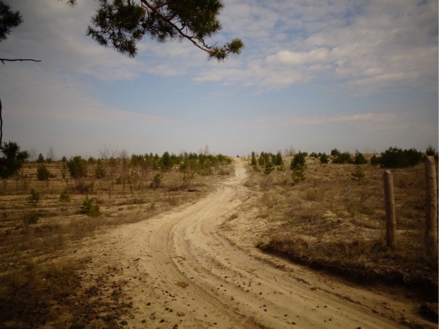 Разбавим политоту и жесть природой