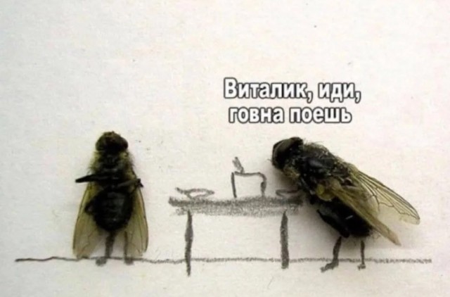 Завалялось тут случайно немного забавных картинок
