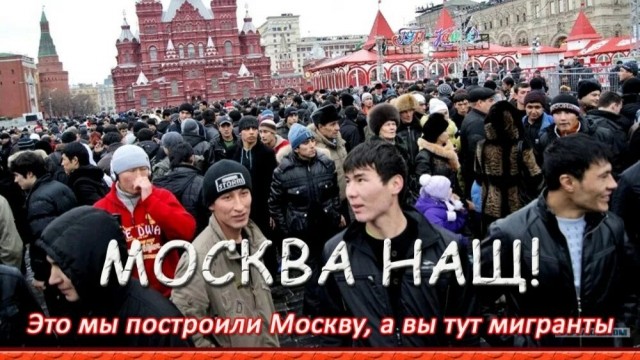 Норвегия: задержание обезьяны, убившей женщину