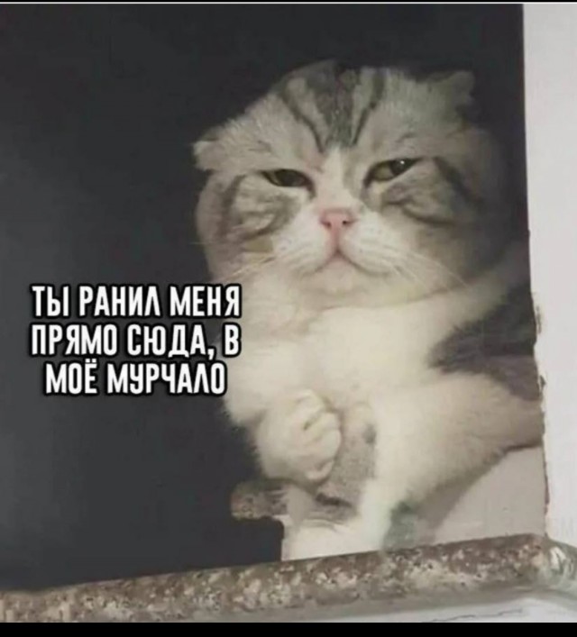 «Не хочу платить алименты за чужого ребенка»: Петербуржец через восемь лет после рождения сына узнал, что он ему не родной