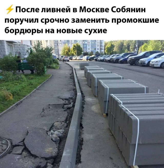 Веселое настроение в картинках 24.07.25