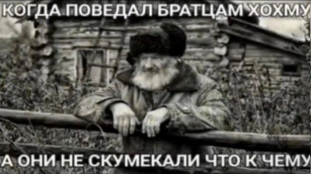 Картинки для деградации 21 (разной степени свежести)