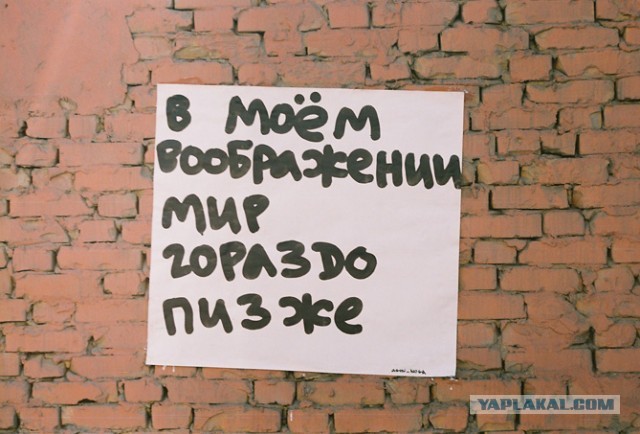 В Мурманске такое редко бывает